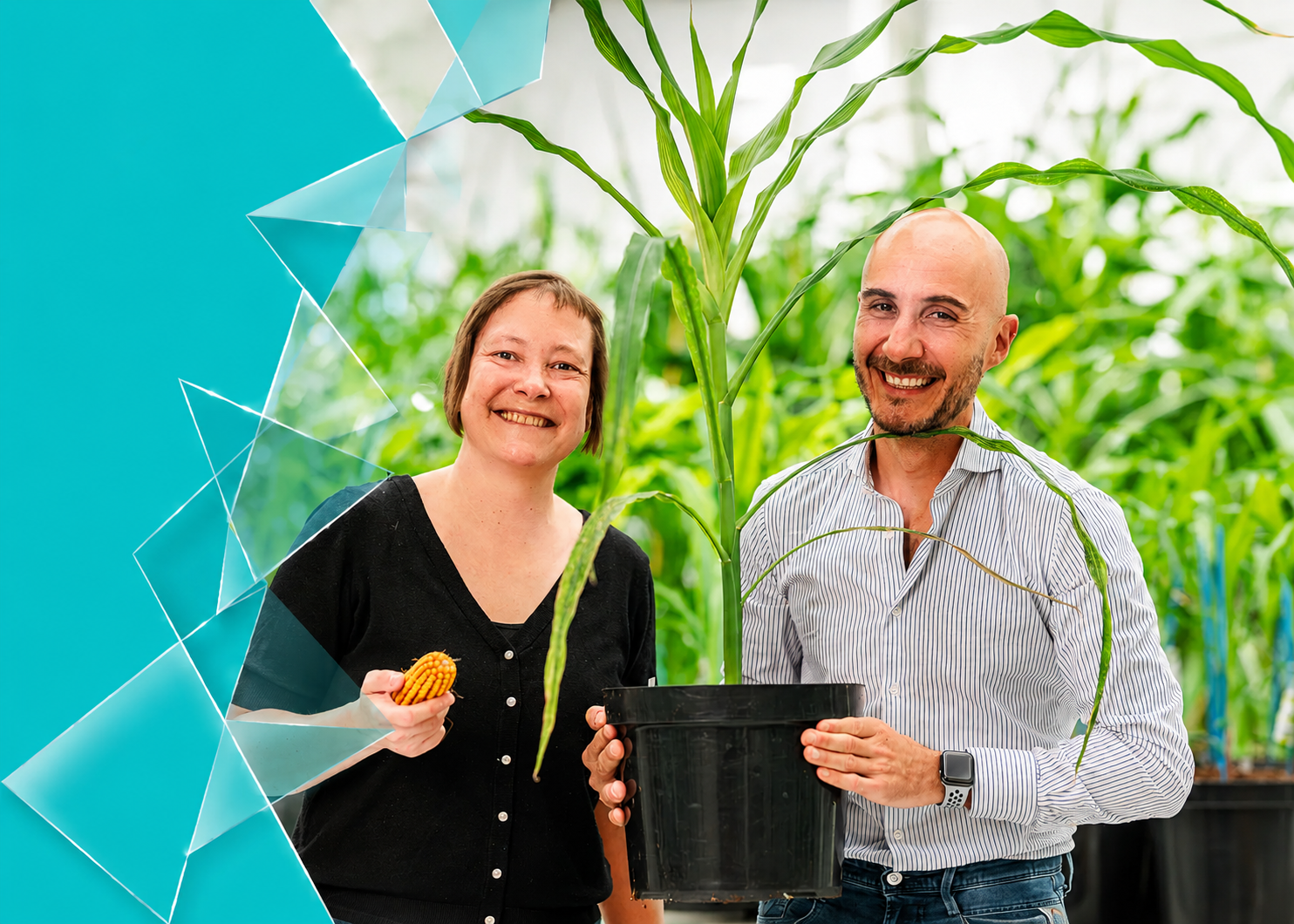 Rainbow Crops raises €9.7m Rainbow Crops raises €9.7m