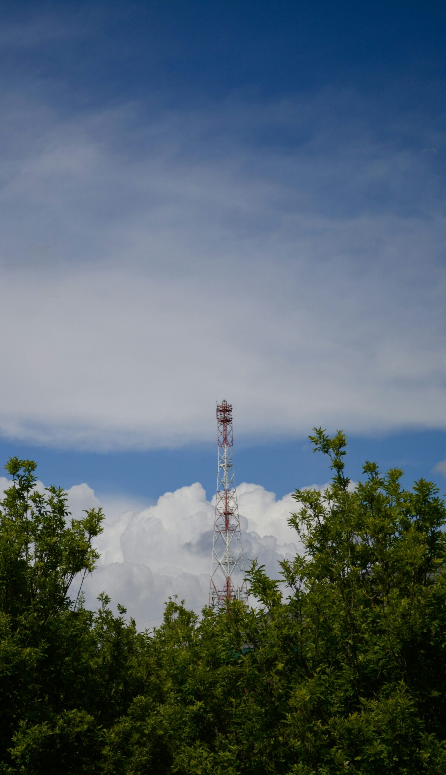Telecom chiefs press Brussels on network rules Telecom chiefs press Brussels on network rules